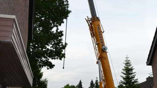 Hardenberg bomen rooien